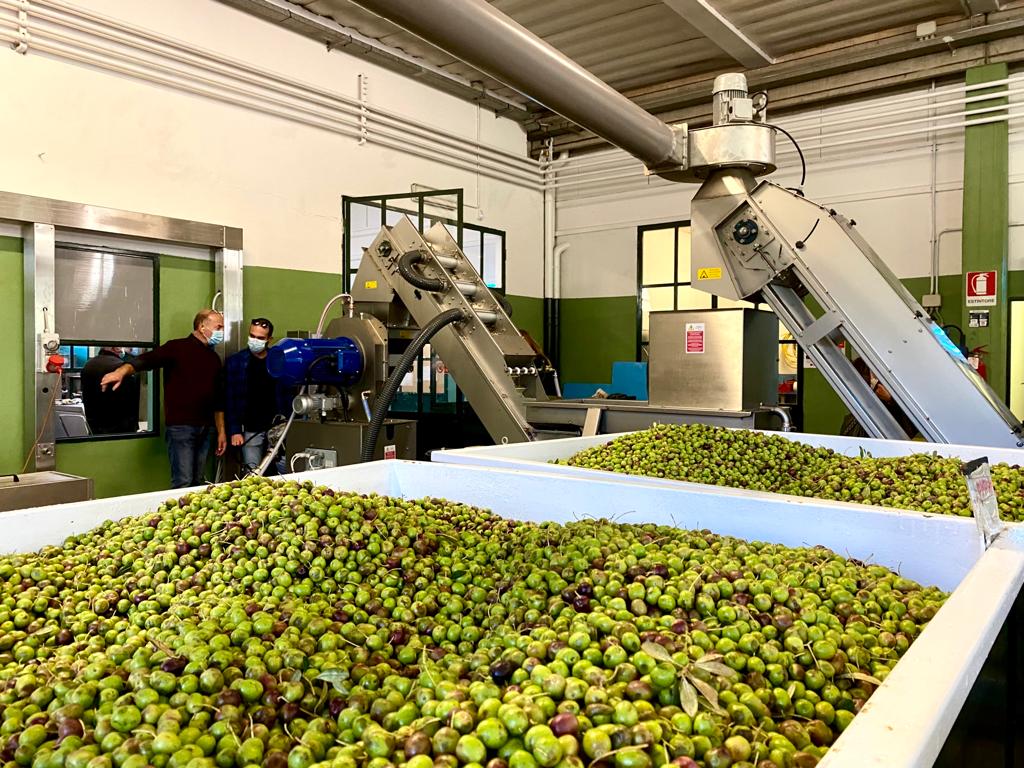 Divieto di scarico acque di vegetazione e residui della lavorazione meccanica delle olive nella rete fognaria.